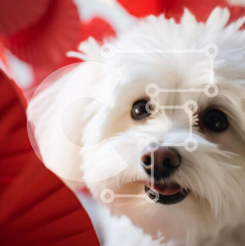 Intra Συλλεκτικό Ξύλινο Παζλ Plywood 4mm - Λευκό σκυλί με κόκκινα φανάρια Σε Ξύλινο Κουτί - Διαστάσεις: 10x10 cm – 25 κομμάτια - Image 1