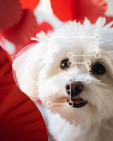 2imCAb1aXnhZocC0SLvQiatGaYY-desktop