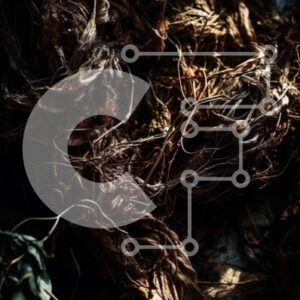 Intra Συλλεκτικό Ξύλινο Παζλ Plywood  4mm - Σωρός αποξηραμένων φύλλων και κλαδιών στο έδαφος - Φωτογραφία στοκ της φύσης Σε Ξύλινο Κουτί - Διαστάσεις: 10x10 cm – 25 κομμάτια