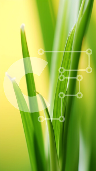 Intra Συλλεκτικό Ξύλινο Παζλ Plywood  4mm - Κοντινό πλάνο της αυξανόμενης πράσινης χλόης Σε Ξύλινο Κουτί - Διαστάσεις: 10x10 cm – 25 κομμάτια