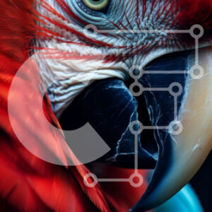 Intra Συλλεκτικό Ξύλινο Παζλ Plywood  4mm - Κόκκινος παπαγάλος με μπλε και μαύρα φτερά Σε Ξύλινο Κουτί - Διαστάσεις: 10x10 cm – 25 κομμάτια