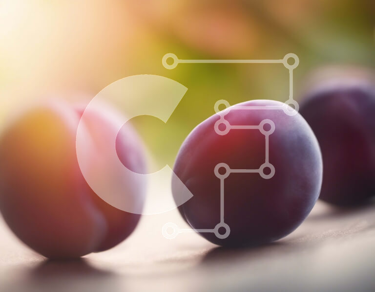 Intra Συλλεκτικό Ξύλινο Παζλ Plywood  4mm - Τρία μωβ δαμάσκηνα τοποθετημένα σε ξύλινη επιφάνεια Σε Ξύλινο Κουτί - Διαστάσεις: 10x10 cm – 25 κομμάτια