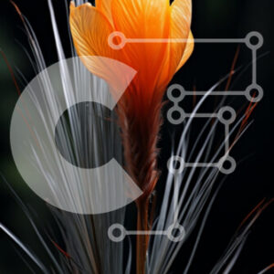 Intra Συλλεκτικό Ξύλινο Παζλ Plywood  4mm - Εκπληκτική κινηματογράφηση σε πρώτο πλάνο ενός πορτοκαλιού λουλουδιού με μακριά πέταλα Σε Ξύλινο Κουτί - Διαστάσεις: 10x10 cm – 25 κομμάτια