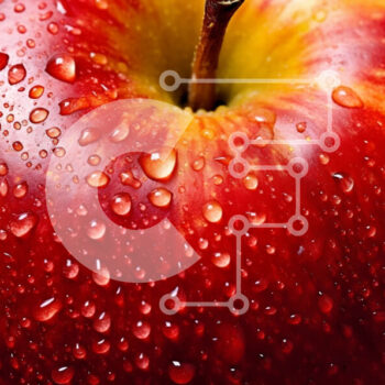 Intra Συλλεκτικό Ξύλινο Παζλ Plywood  4mm - Φρέσκο ​​και ζουμερό κόκκινο μήλο με σταγονίδια νερού Σε Ξύλινο Κουτί - Διαστάσεις: 10x10 cm – 25 κομμάτια - Image 1