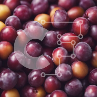 Intra Συλλεκτικό Ξύλινο Παζλ Plywood  4mm - Κοντινή όψη των φρέσκων ώριμων δαμάσκηνων Σε Ξύλινο Κουτί - Διαστάσεις: 10x10 cm – 25 κομμάτια - Image 1