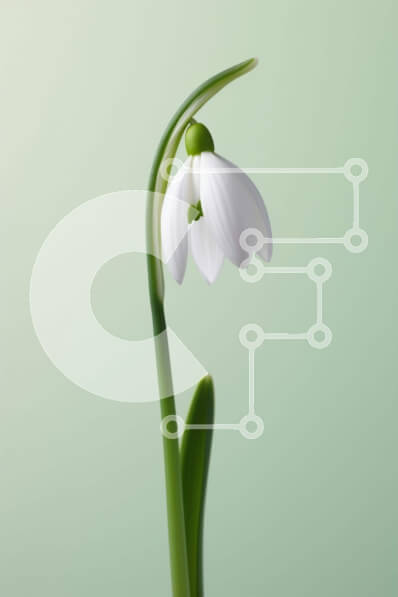 2imDF0I6j3CBivO6eAgxnjT4kXc-desktop