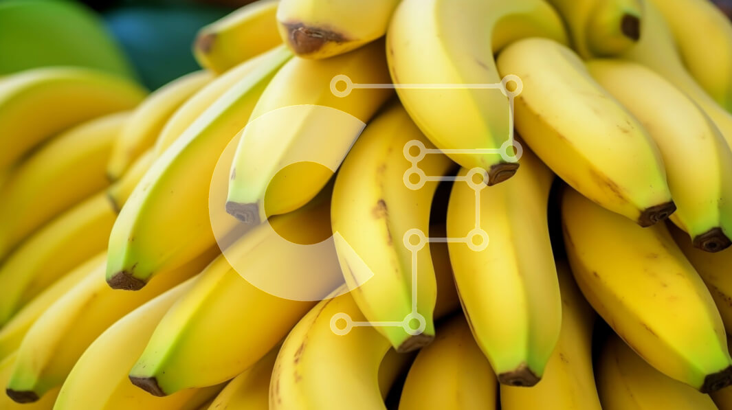 Intra Συλλεκτικό Ξύλινο Παζλ Plywood  4mm - Μπανάνες στοιβαγμένες η μία πάνω στην άλλη Σε Ξύλινο Κουτί - Διαστάσεις: 10x10 cm – 25 κομμάτια