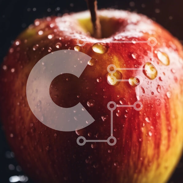 2imDdL6j51NJ8n8LZm2dDQ1oLS5-desktop