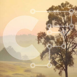 Intra Συλλεκτικό Ξύλινο Παζλ Plywood  4mm - Ειρηνικό τοπίο με ένα μοναχικό δέντρο στην ομιχλώδη πλαγιά Σε Ξύλινο Κουτί - Διαστάσεις: 10x10 cm – 25 κομμάτια