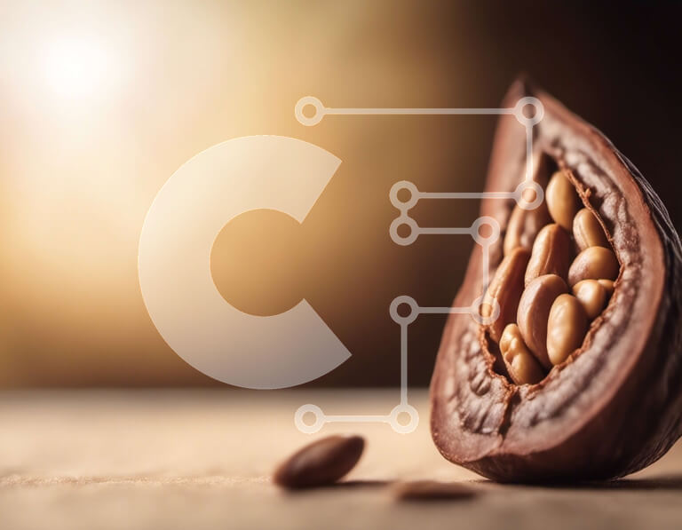 Intra Συλλεκτικό Ξύλινο Παζλ Plywood  4mm - Μισάνοιχτη Καρυδιά με ραγισμένο κέλυφος Σε Ξύλινο Κουτί - Διαστάσεις: 10x10 cm – 25 κομμάτια