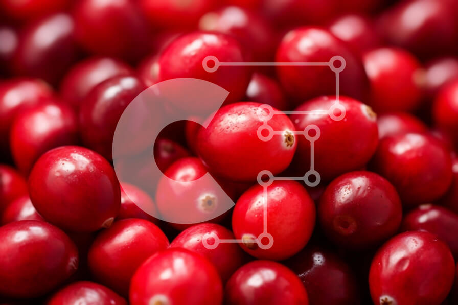 Intra Συλλεκτικό Ξύλινο Παζλ Plywood  4mm - Κοντινό πλάνο στοιβαγμένων κόκκινων βακκίνιων Σε Ξύλινο Κουτί - Διαστάσεις: 10x10 cm – 25 κομμάτια