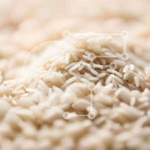 Intra Συλλεκτικό Ξύλινο Παζλ Plywood  4mm - Κοντινό πλάνο Λευκό Ρύζι Σε Ξύλινο Κουτί - Διαστάσεις: 10x10 cm – 25 κομμάτια