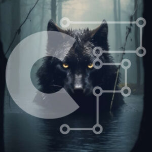 Intra Συλλεκτικό Ξύλινο Παζλ Plywood  4mm - Μυστηριώδης μαύρος λύκος που κολυμπά στο σκοτεινό δάσος Σε Ξύλινο Κουτί - Διαστάσεις: 10x10 cm – 25 κομμάτια