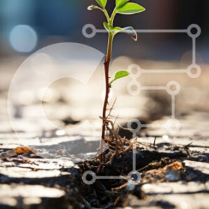 Intra Συλλεκτικό Ξύλινο Παζλ Plywood  4mm - Puzzle 10x10 cm – 25 κομμ με θεμα  Nature-Φύση's Resilience: Ένα μικρό φυτό που ευδοκιμεί στα πιο απίθανα μέρη Σε Ξύλινο Κουτί - Διαστάσεις: 10x10 cm – 25 κομμάτια