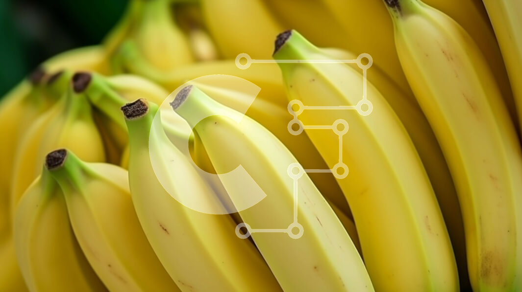 Intra Συλλεκτικό Ξύλινο Παζλ Plywood  4mm - Στοίβα μπανάνας - φρέσκια και νόστιμη Σε Ξύλινο Κουτί - Διαστάσεις: 10x10 cm – 25 κομμάτια