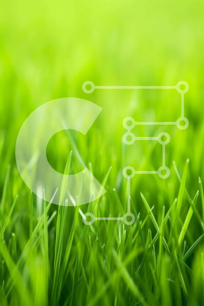 Intra Συλλεκτικό Ξύλινο Παζλ Plywood  4mm - Πράσινο πεδίο με γρασίδι φόντο εικόνα Σε Ξύλινο Κουτί - Διαστάσεις: 10x10 cm – 25 κομμάτια