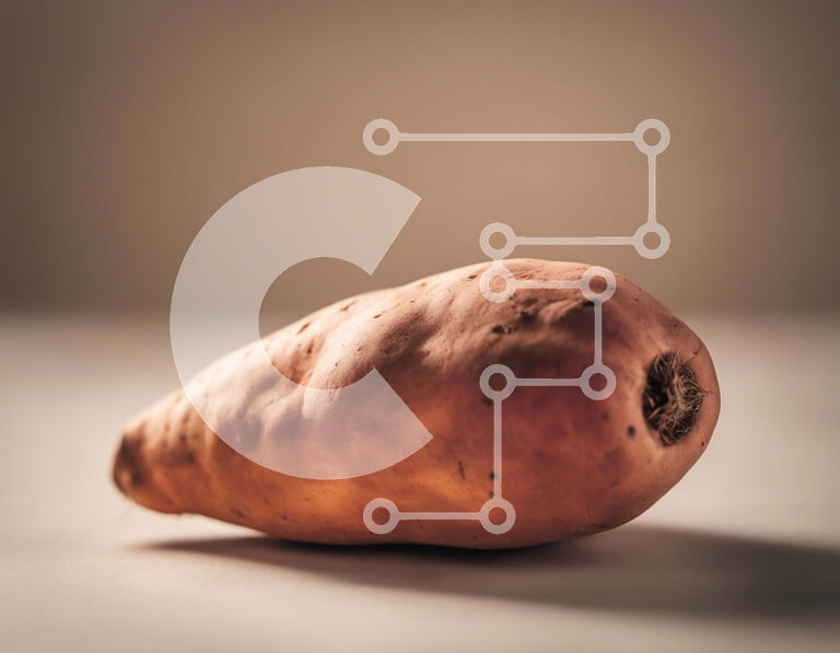 Intra Συλλεκτικό Ξύλινο Παζλ Plywood  4mm - Μισοφαγωμένη γλυκοπατάτα στο τραπέζι Σε Ξύλινο Κουτί - Διαστάσεις: 10x10 cm – 25 κομμάτια