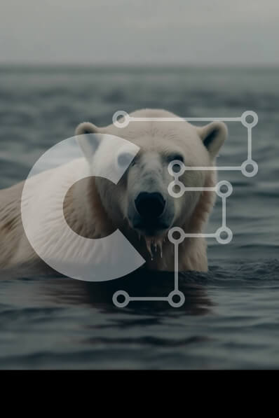 Intra Συλλεκτικό Ξύλινο Παζλ Plywood  4mm - Όμορφη εικόνα μιας πολικής αρκούδας που κολυμπά στον ωκεανό Σε Ξύλινο Κουτί - Διαστάσεις: 10x10 cm – 25 κομμάτια