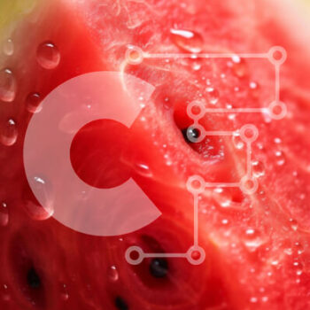 Intra Συλλεκτικό Ξύλινο Παζλ Plywood  4mm - Φρέσκια φέτα καρπούζι με σταγόνες νερού Σε Ξύλινο Κουτί - Διαστάσεις: 10x10 cm – 25 κομμάτια - Image 1