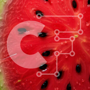 Intra Συλλεκτικό Ξύλινο Παζλ Plywood  4mm - Φρεσκοκομμένο καρπούζι με σταγονίδια νερού Σε Ξύλινο Κουτί - Διαστάσεις: 10x10 cm – 25 κομμάτια - Image 1