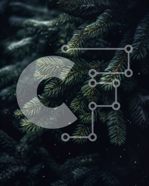 Intra Συλλεκτικό Ξύλινο Παζλ Plywood  4mm - Κοντινή όψη του κλάδου πεύκων με το χιόνι Σε Ξύλινο Κουτί - Διαστάσεις: 10x10 cm – 25 κομμάτια