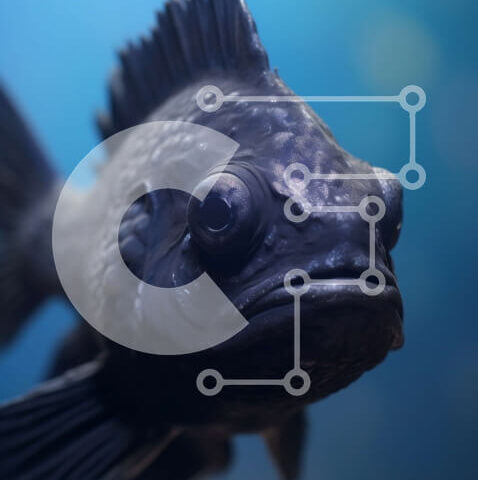 Intra Συλλεκτικό Ξύλινο Παζλ Plywood 4mm - Μαύρο ψάρι με αιχμηρά δόντια που κολυμπούν σε σκούρο μπλε υγρό Σε Ξύλινο Κουτί - Διαστάσεις: 10x10 cm – 25 κομμάτια - Image 1