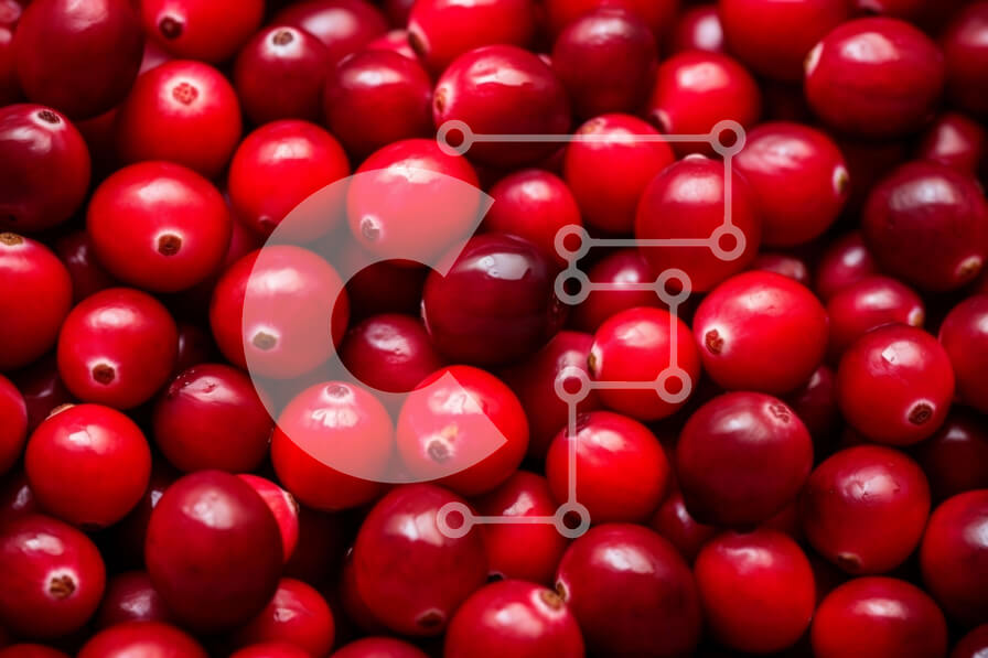 Intra Συλλεκτικό Ξύλινο Παζλ Plywood  4mm - Κοντινό πλάνο στοιβαγμένων κόκκινων βακκίνιων Σε Ξύλινο Κουτί - Διαστάσεις: 10x10 cm – 25 κομμάτια