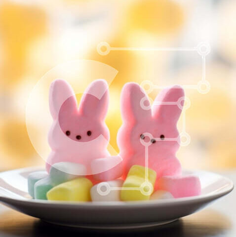 Intra Συλλεκτικό Ξύλινο Παζλ Plywood  4mm - Marshmallow τιτιβίζει και λαγουδάκι στο λευκό πιάτο Σε Ξύλινο Κουτί - Διαστάσεις: 10x10 cm – 25 κομμάτια - Image 1