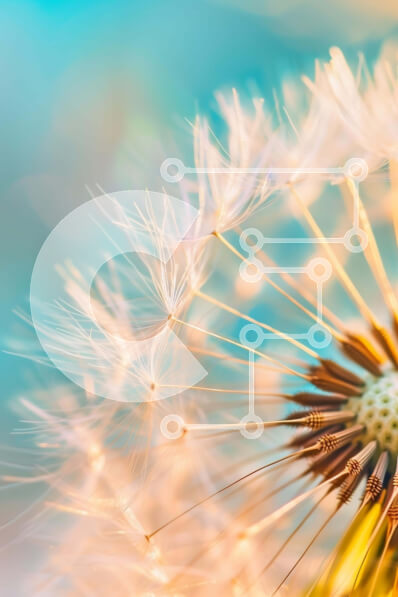 Intra Συλλεκτικό Ξύλινο Παζλ Plywood  4mm - Κοντινό πλάνο του λουλουδιού πικραλίδα με αφράτους λευκούς σπόρους Σε Ξύλινο Κουτί - Διαστάσεις: 10x10 cm – 25 κομμάτια