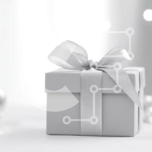 Intra Συλλεκτικό Ξύλινο Παζλ Plywood  4mm - Λευκό κουτί δώρου με ασημένια κορδέλα και κοσμήματα Σε Ξύλινο Κουτί - Διαστάσεις: 10x10 cm – 25 κομμάτια