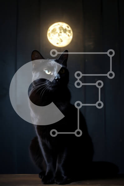 Intra Συλλεκτικό Ξύλινο Παζλ Plywood  4mm - Μυστηριώδης μαύρη γάτα με φόντο την πανσέληνο Σε Ξύλινο Κουτί - Διαστάσεις: 10x10 cm – 25 κομμάτια