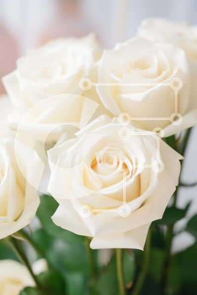 Intra Συλλεκτικό Ξύλινο Παζλ Plywood  4mm - Φρέσκα λευκά τριαντάφυλλα σε βάζο Σε Ξύλινο Κουτί - Διαστάσεις: 10x10 cm – 25 κομμάτια