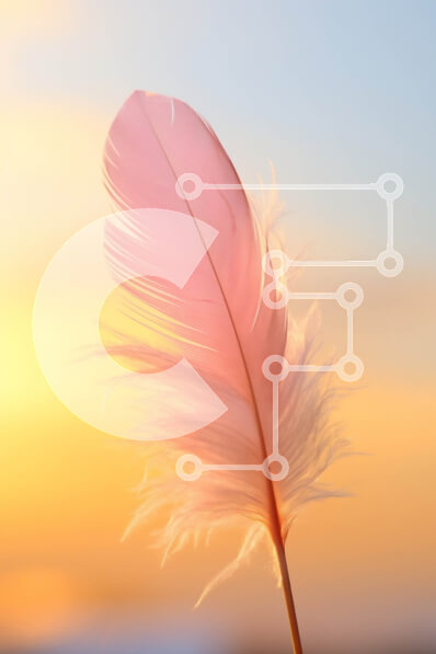 Intra Συλλεκτικό Ξύλινο Παζλ Plywood  4mm - Όμορφη κινηματογράφηση σε πρώτο πλάνο ενός ροζ φτερού με εκπληκτικό ηλιοβασίλεμα Σε Ξύλινο Κουτί - Διαστάσεις: 10x10 cm – 25 κομμάτια