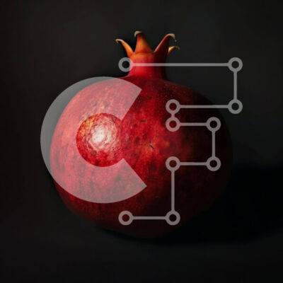 Intra Συλλεκτικό Ξύλινο Παζλ Plywood  4mm - Κόκκινο ρόδι σε μαύρο φόντο Σε Ξύλινο Κουτί - Διαστάσεις: 10x10 cm – 25 κομμάτια - Image 1