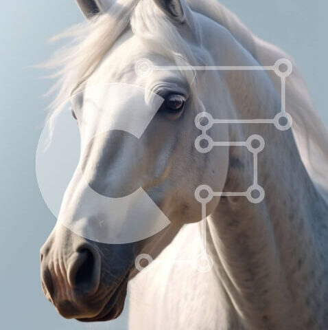 Intra Συλλεκτικό Ξύλινο Παζλ Plywood  4mm - Λευκό άλογο με μακριά χαίτη και ουρά Σε Ξύλινο Κουτί - Διαστάσεις: 10x10 cm – 25 κομμάτια - Image 1