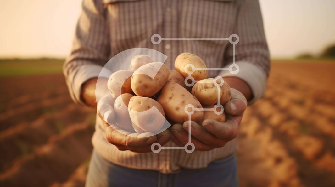 Intra Συλλεκτικό Ξύλινο Παζλ Plywood  4mm - Συγκομιδή πατάτας - Άνθρωπος που μαζεύει πατάτες από ένα χωράφι Σε Ξύλινο Κουτί - Διαστάσεις: 10x10 cm – 25 κομμάτια