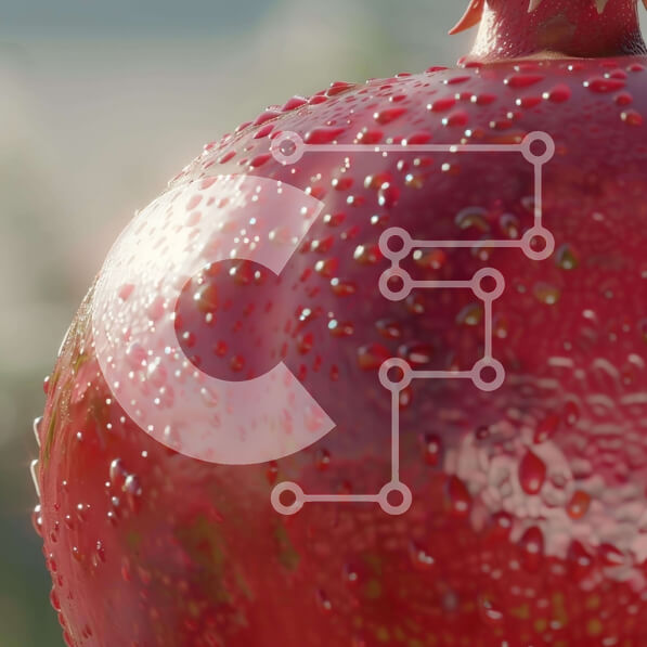 2imHwfMdzWr8jOJGv2jc1wbc26Q-desktop