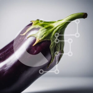 Intra Συλλεκτικό Ξύλινο Παζλ Plywood  4mm - Μωβ μελιτζάνα σε άσπρο φόντο Σε Ξύλινο Κουτί - Διαστάσεις: 10x10 cm – 25 κομμάτια