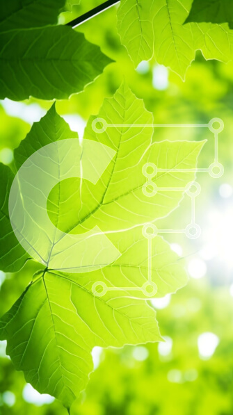 Intra Συλλεκτικό Ξύλινο Παζλ Plywood  4mm - Κοντινό πλάνο των πράσινων φύλλων στο δάσος με το φως του ήλιου Σε Ξύλινο Κουτί - Διαστάσεις: 10x10 cm – 25 κομμάτια