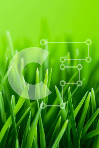 Intra Συλλεκτικό Ξύλινο Παζλ Plywood  4mm - Κοντινό πλάνο της φρεσκοκομμένης πράσινης χλόης Σε Ξύλινο Κουτί - Διαστάσεις: 10x10 cm – 25 κομμάτια