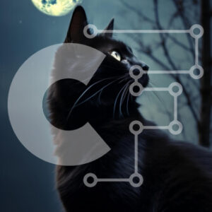 Intra Συλλεκτικό Ξύλινο Παζλ Plywood  4mm - Μυστηριώδης μαύρη γάτα και πανσέληνος στον νυχτερινό ουρανό Σε Ξύλινο Κουτί - Διαστάσεις: 10x10 cm – 25 κομμάτια