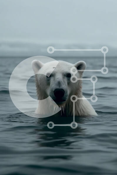 Intra Συλλεκτικό Ξύλινο Παζλ Plywood  4mm - Όμορφη εικόνα μιας πολικής αρκούδας που κολυμπά στον ωκεανό Σε Ξύλινο Κουτί - Διαστάσεις: 10x10 cm – 25 κομμάτια