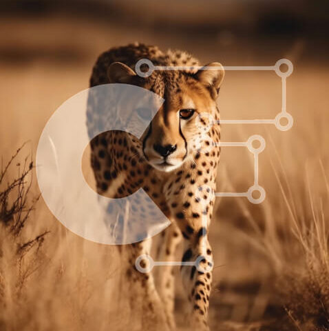 Intra Συλλεκτικό Ξύλινο Παζλ Plywood  4mm - Όμορφη εικόνα ενός τσιτάχ στο φυσικό του περιβάλλον Σε Ξύλινο Κουτί - Διαστάσεις: 10x10 cm – 25 κομμάτια - Image 1