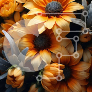 Intra Συλλεκτικό Ξύλινο Παζλ Plywood  4mm - Όμορφη κινηματογράφηση σε πρώτο πλάνο με πορτοκαλί και κίτρινες μαργαρίτες Σε Ξύλινο Κουτί - Διαστάσεις: 10x10 cm – 25 κομμάτια