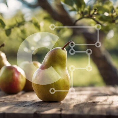 Intra Συλλεκτικό Ξύλινο Παζλ Plywood  4mm - Τρία ώριμα αχλάδια σε ένα ξύλινο τραπέζι με ένα δέντρο στο φόντο Σε Ξύλινο Κουτί - Διαστάσεις: 10x10 cm – 25 κομμάτια - Image 1