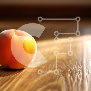 Intra Συλλεκτικό Ξύλινο Παζλ Plywood  4mm - Φρέσκια εικόνα ενός ώριμου ροδάκινου σε ένα ηλιόλουστο ξύλινο τραπέζι Σε Ξύλινο Κουτί - Διαστάσεις: 10x10 cm – 25 κομμάτια - Image 1