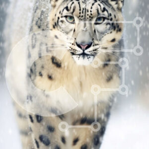 Intra Συλλεκτικό Ξύλινο Παζλ Plywood  4mm - Όμορφη εικόνα μιας λεοπάρδαλης του χιονιού που περπατά στο χιόνι Σε Ξύλινο Κουτί - Διαστάσεις: 10x10 cm – 25 κομμάτια