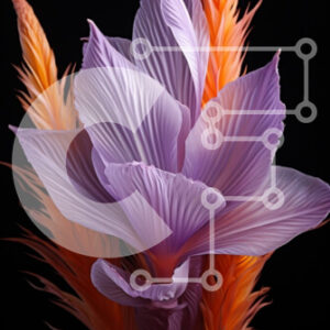 Intra Συλλεκτικό Ξύλινο Παζλ Plywood  4mm - Όμορφη εικόνα ενός μωβ λουλουδιού με πορτοκαλί πέταλα και κίτρινο κέντρο Σε Ξύλινο Κουτί - Διαστάσεις: 10x10 cm – 25 κομμάτια