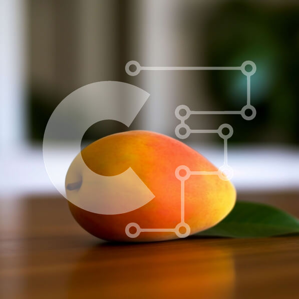 2imU2olXTt4FcitfF3eS8KVeKJW-desktop