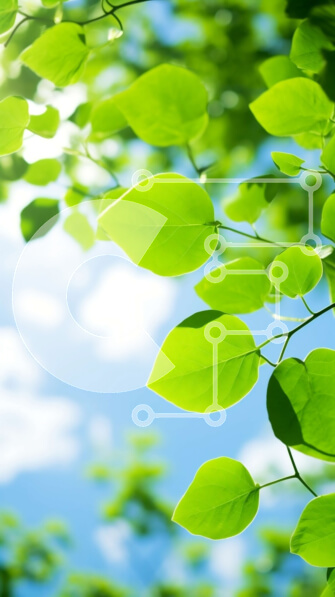 2imU5k0OQanf1LZtX1ujd3idzjU-desktop